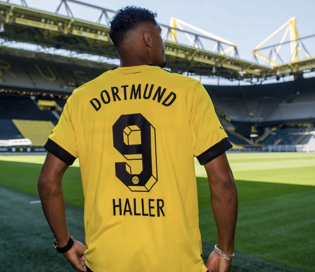 Haller dropper ud af træningslejren til terapi